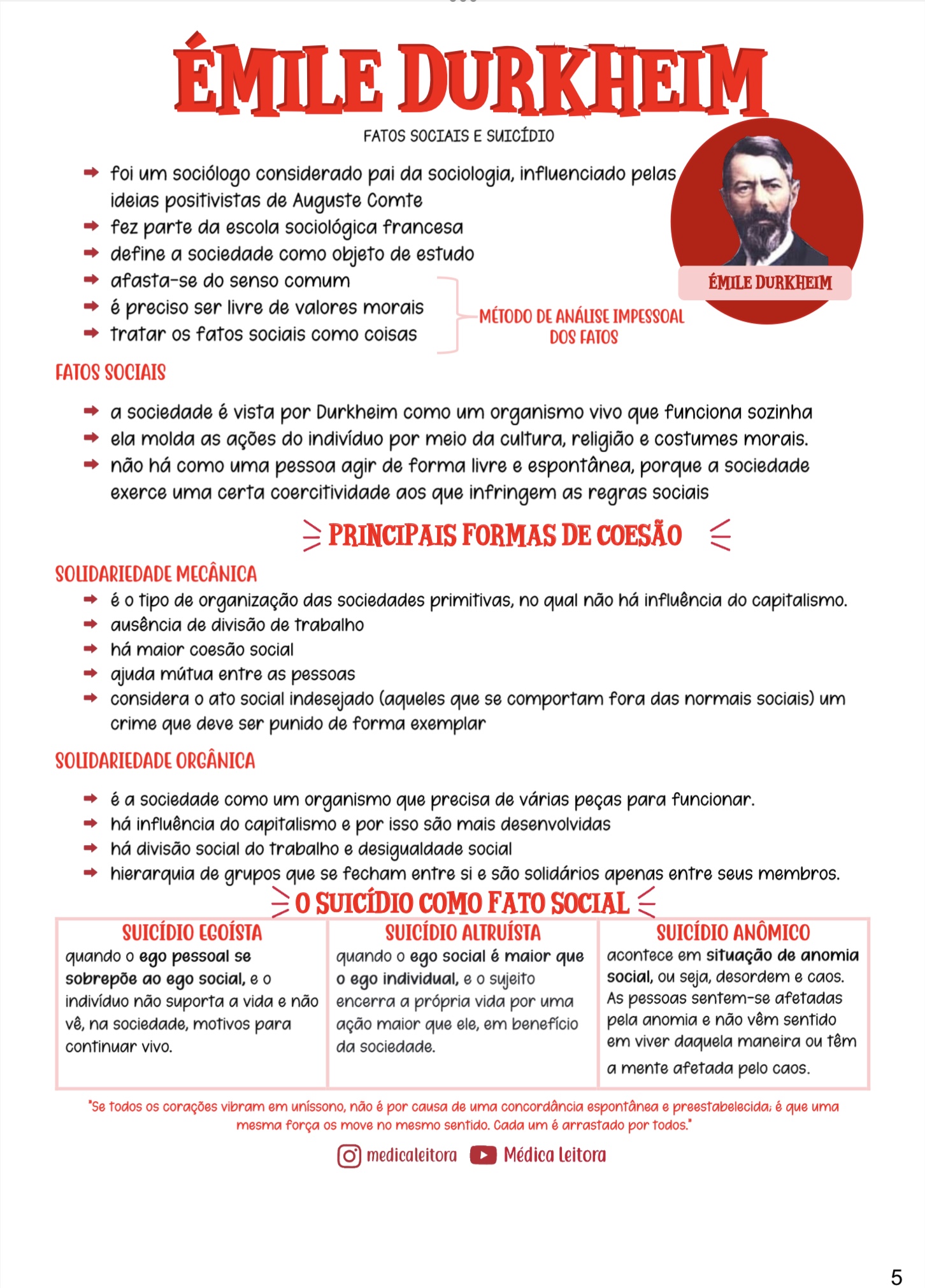 Um resumo com lettering e desenhos