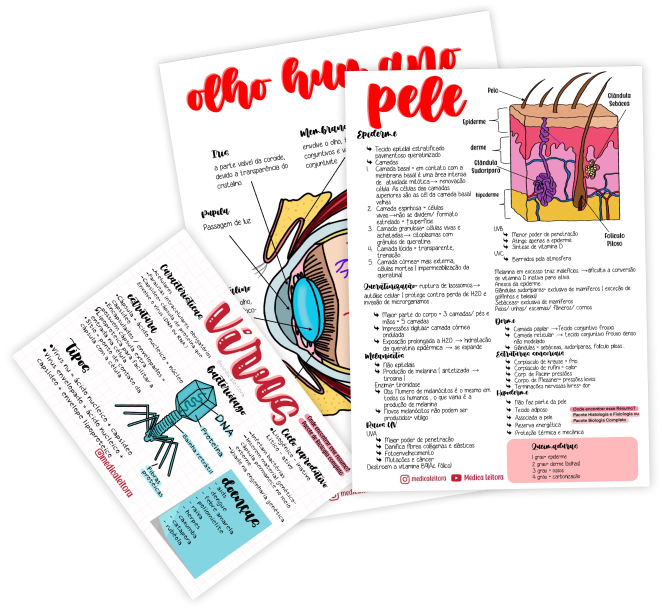 Folhas de resumos variados da Médica Leitora. Possuem letras coloridas e desenhos